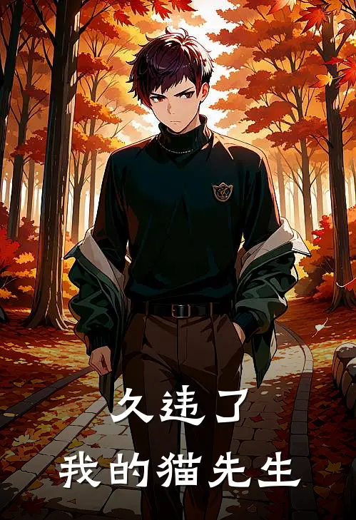 久违了，我的猫先生