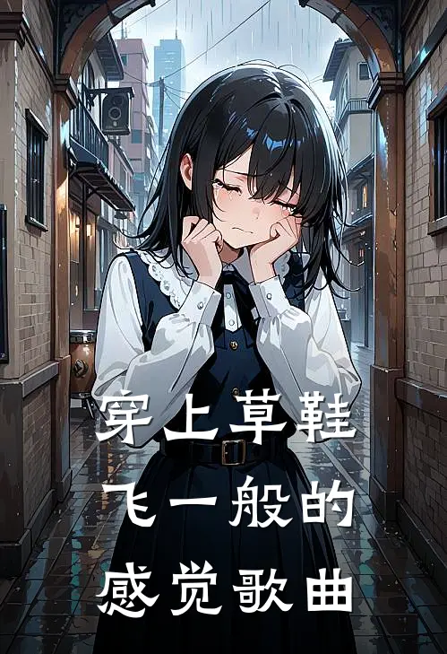 穿上草鞋飞一般的感觉歌曲